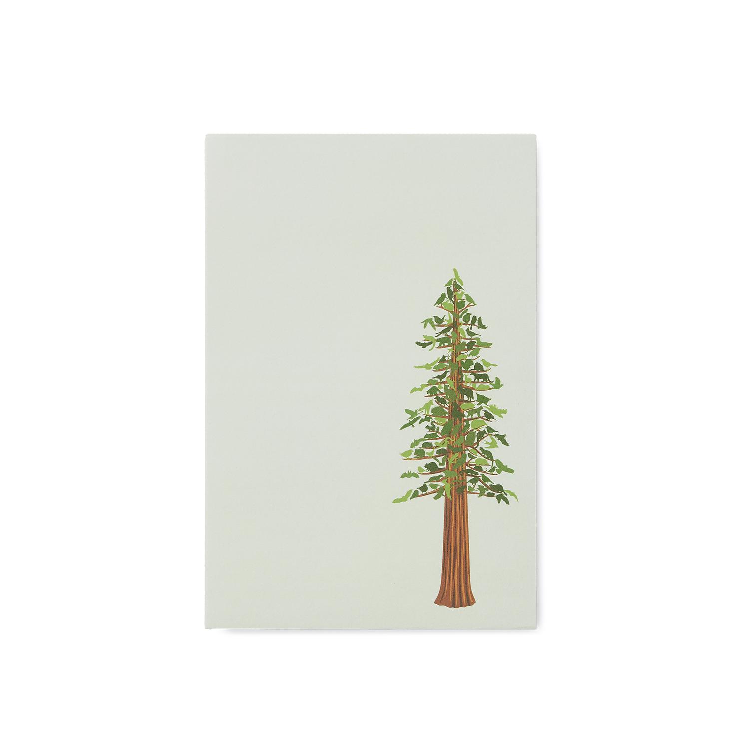 Tree Motepad Alice Frost Studio, Redwood Tree Recycled Notepad